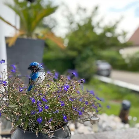 Bellevue Holiday home Saint-Louis (Haut-Rhin)